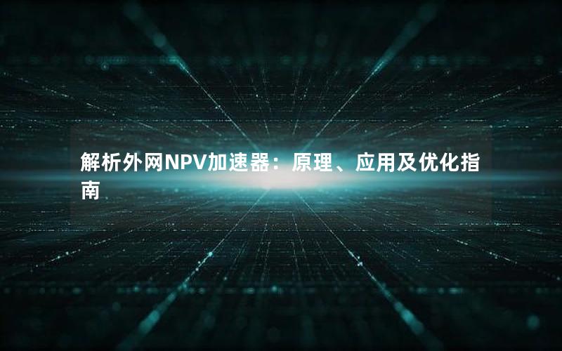 解析外网NPV加速器：原理、应用及优化指南