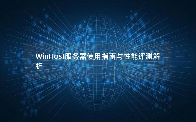 WinHost服务器使用指南与性能评测解析