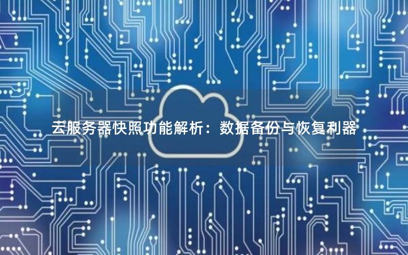 云服务器快照功能解析：数据备份与恢复利器