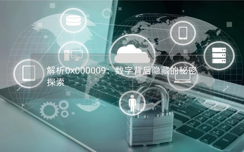 解析0x000009：数字背后隐藏的秘密探索