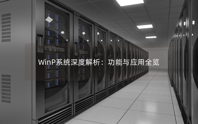 WinP系统深度解析：功能与应用全览