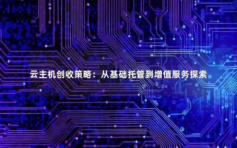 云主机创收策略：从基础托管到增值服务探索