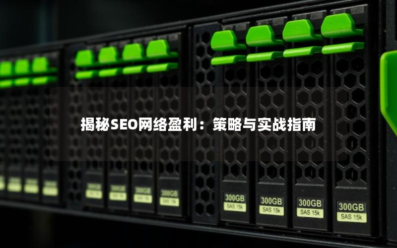 揭秘SEO网络盈利：策略与实战指南