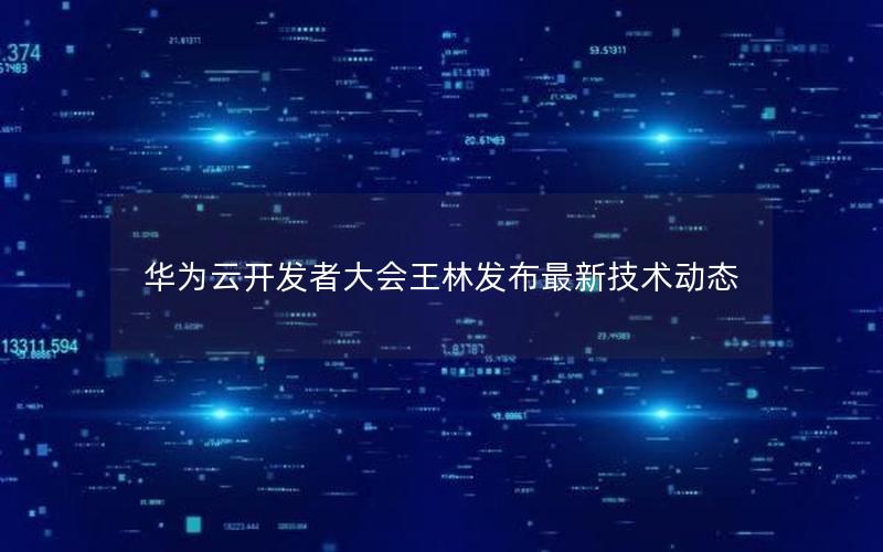 华为云开发者大会王林发布最新技术动态