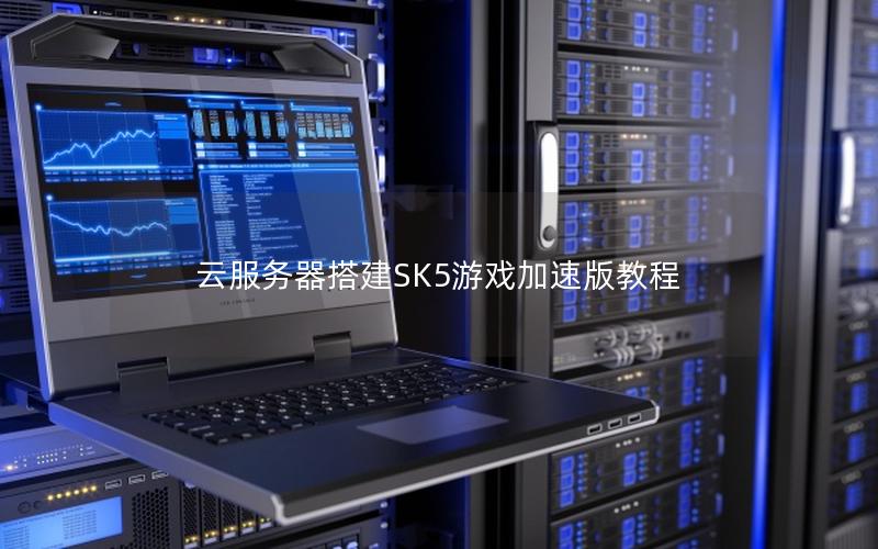 云服务器搭建SK5游戏加速版教程