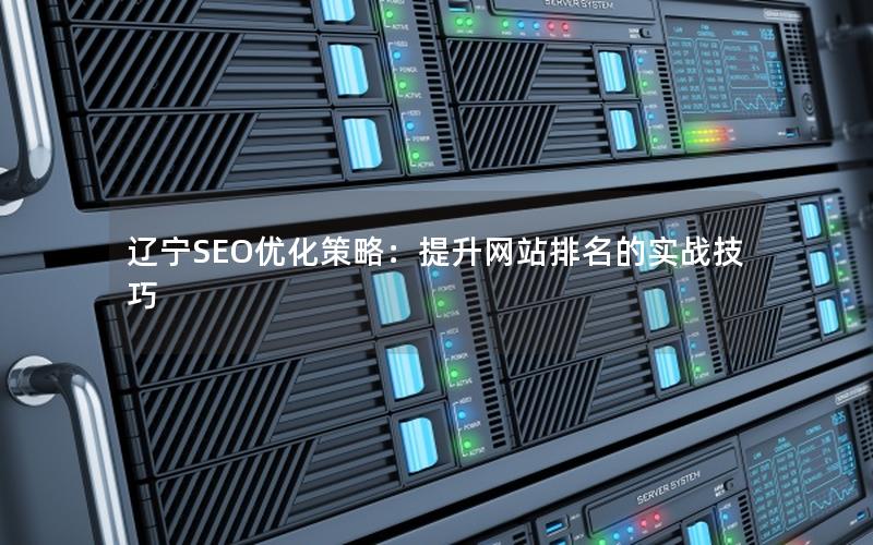 辽宁SEO优化策略：提升网站排名的实战技巧