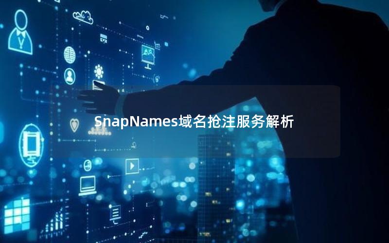 SnapNames域名抢注服务解析