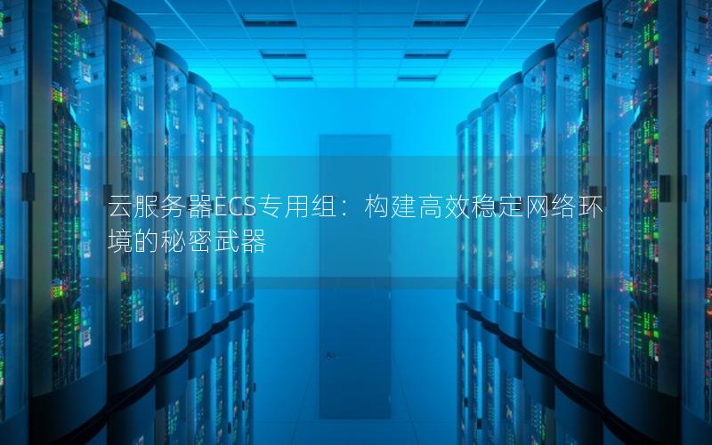 云服务器ECS专用组：构建高效稳定网络环境的秘密武器