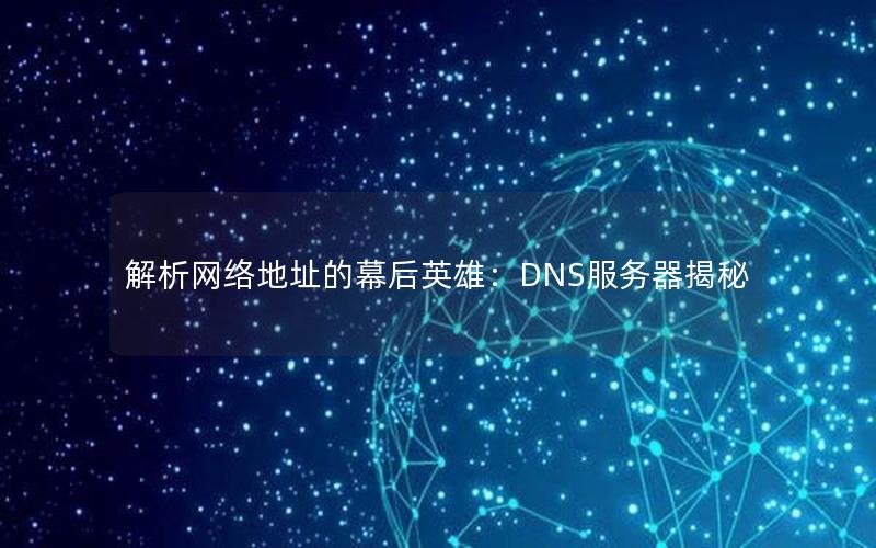 解析网络地址的幕后英雄：DNS服务器揭秘