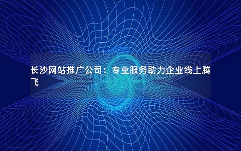 长沙网站推广公司：专业服务助力企业线上腾飞