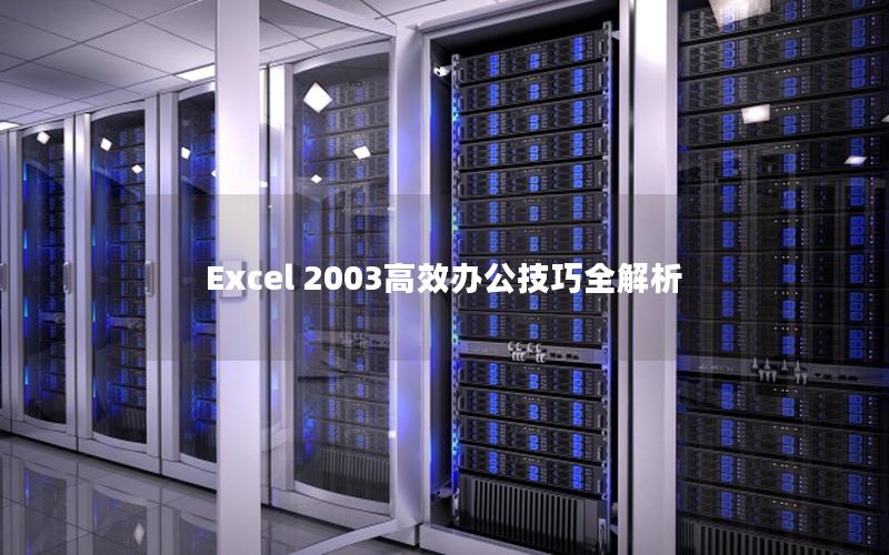 Excel 2003高效办公技巧全解析