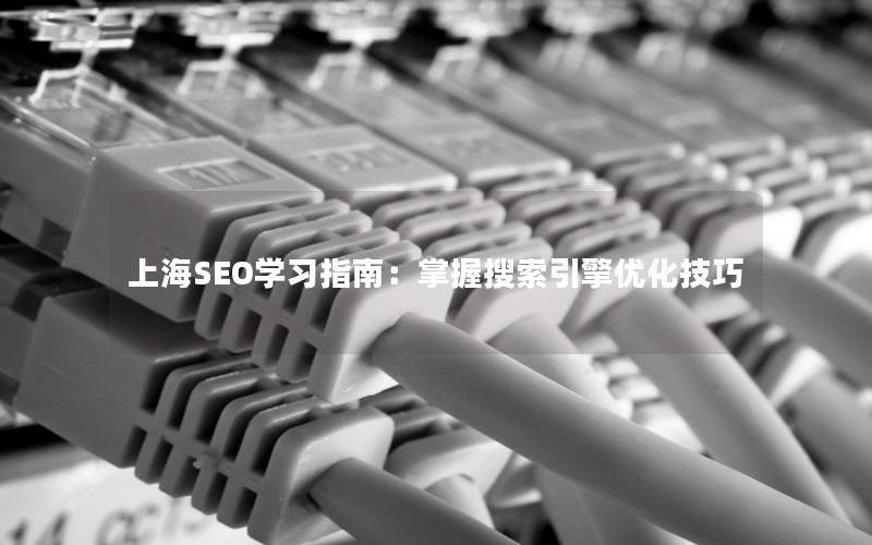 上海SEO学习指南：掌握搜索引擎优化技巧