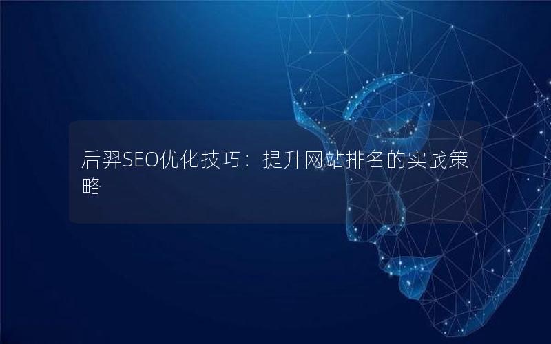 后羿SEO优化技巧：提升网站排名的实战策略