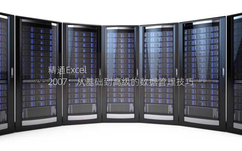 精通Excel 2007：从基础到高级的数据管理技巧