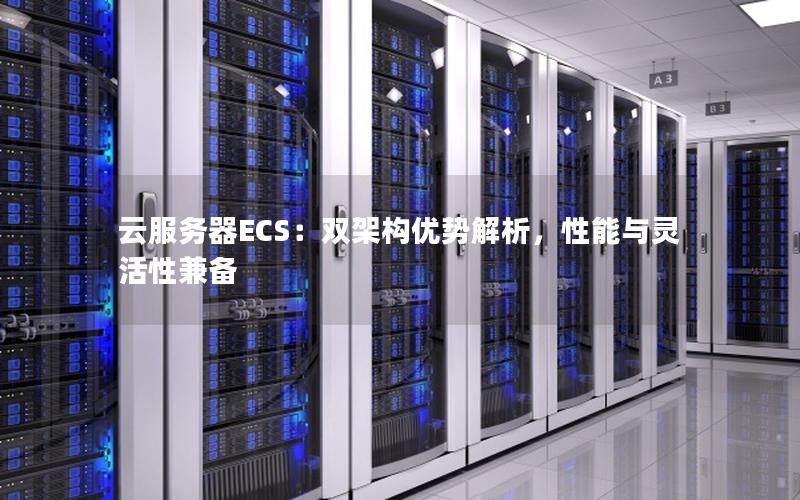 云服务器ECS：双架构优势解析，性能与灵活性兼备