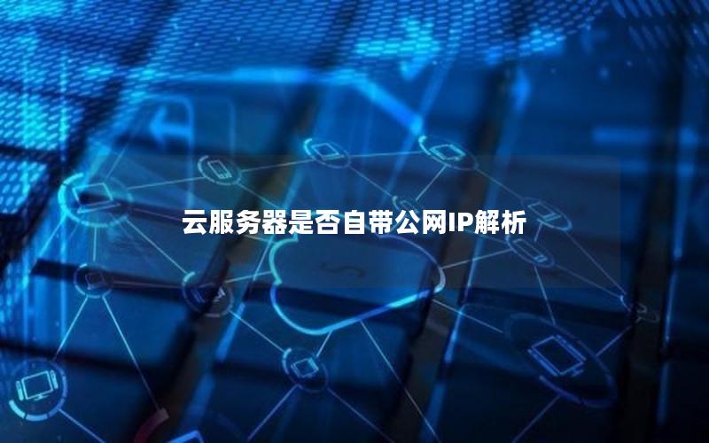 云服务器是否自带公网IP解析