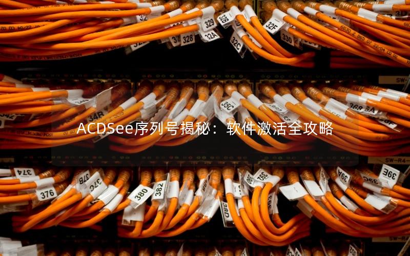 ACDSee序列号揭秘：软件激活全攻略