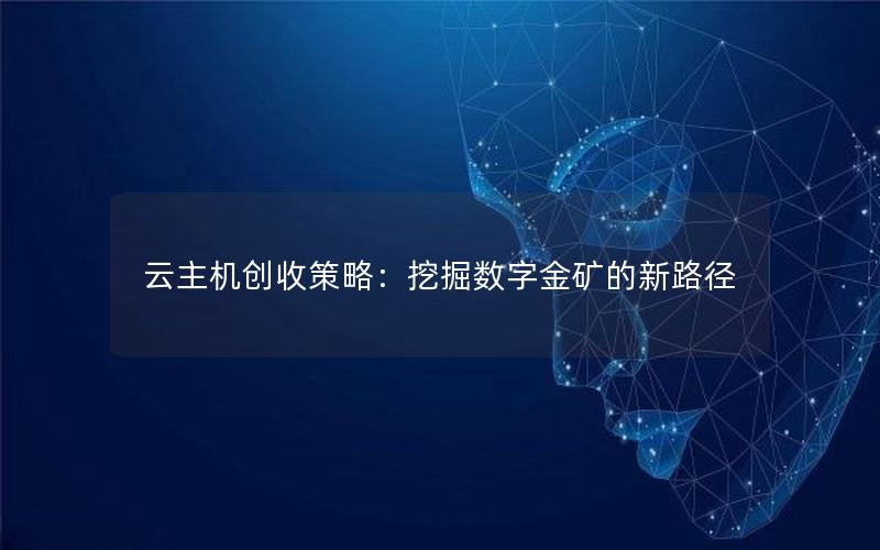 云主机创收策略：挖掘数字金矿的新路径