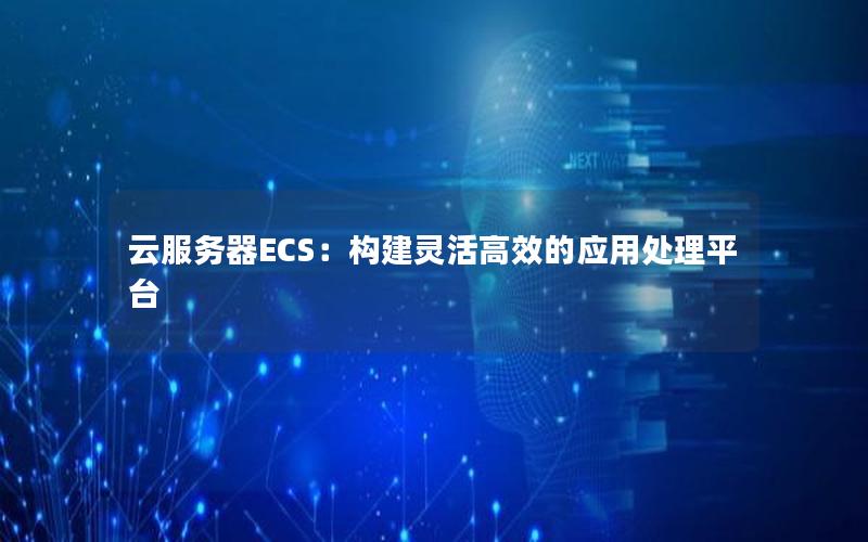 云服务器ECS：构建灵活高效的应用处理平台