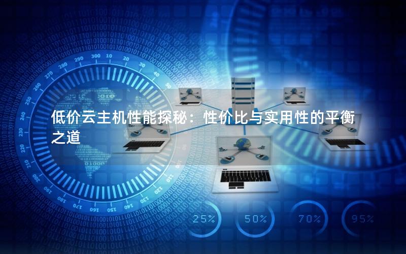 低价云主机性能探秘：性价比与实用性的平衡之道