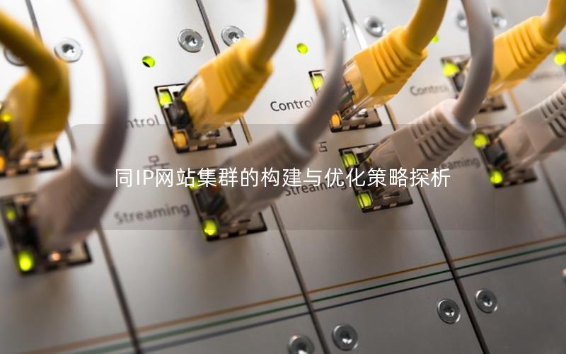 同IP网站集群的构建与优化策略探析