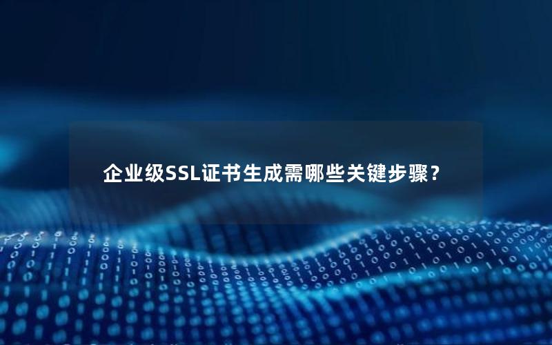 企业级SSL证书生成需哪些关键步骤？