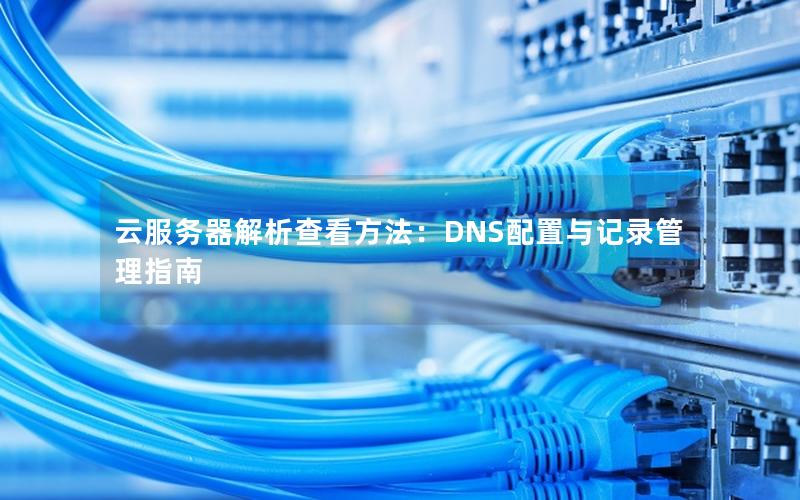 云服务器解析查看方法：DNS配置与记录管理指南