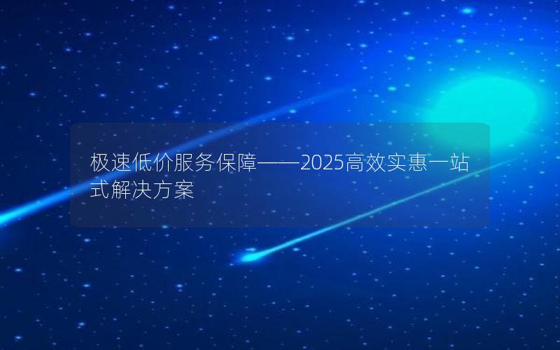 极速低价服务保障——2025高效实惠一站式解决方案