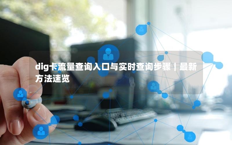 dig卡流量查询入口与实时查询步骤｜最新方法速览