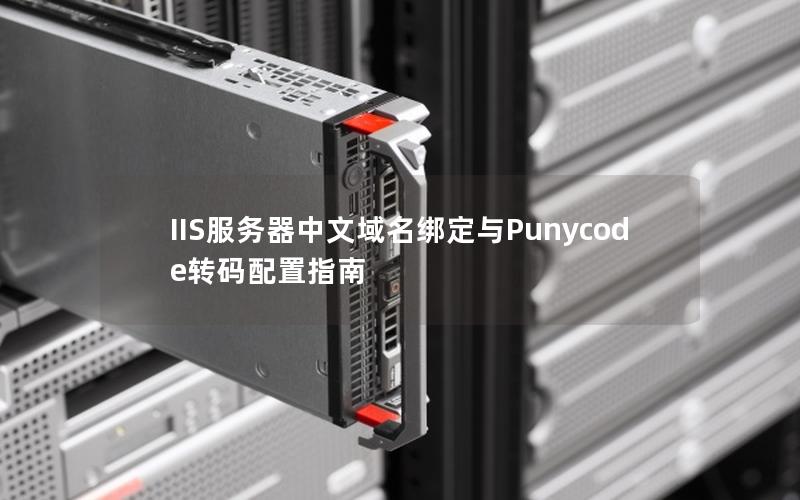 IIS服务器中文域名绑定与Punycode转码配置指南