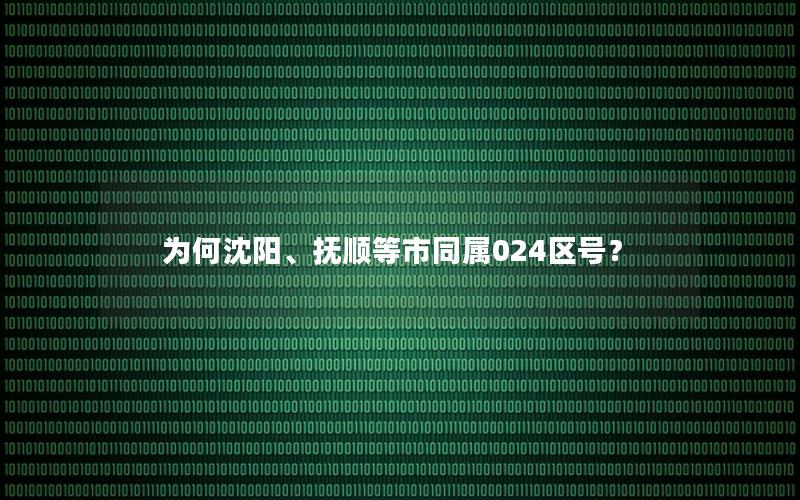 为何沈阳、抚顺等市同属024区号？