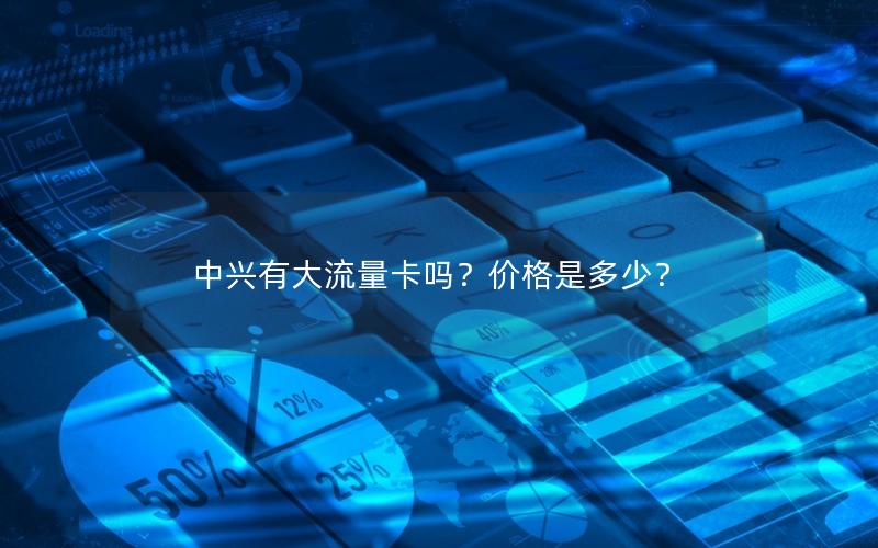 中兴有大流量卡吗？价格是多少？