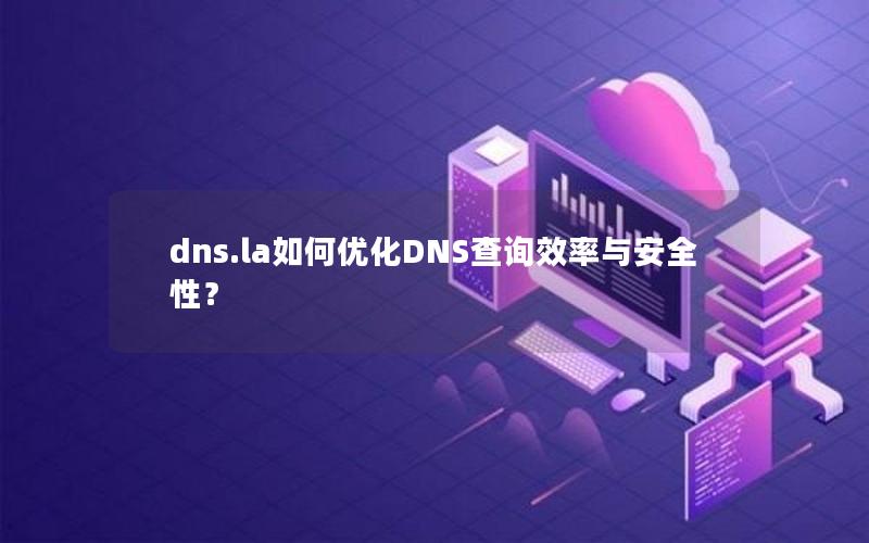 dns.la如何优化DNS查询效率与安全性？