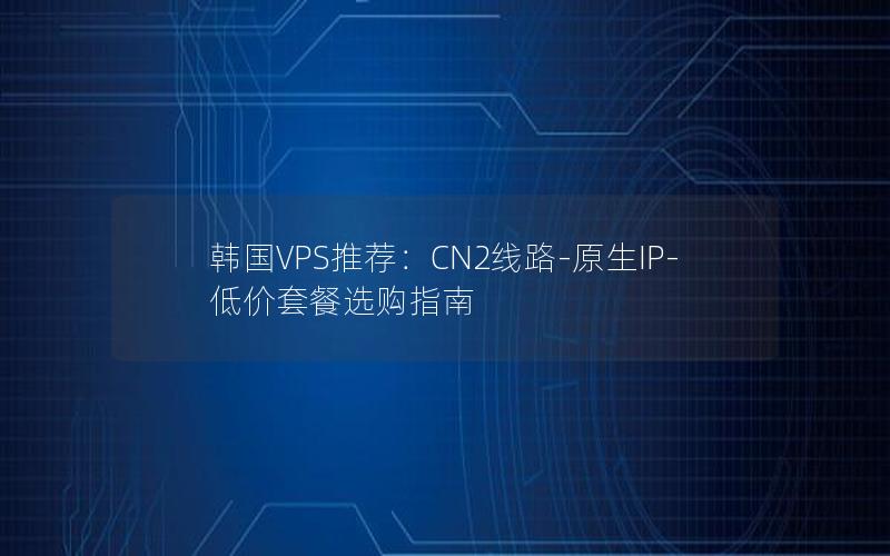 韩国VPS推荐：CN2线路-原生IP-低价套餐选购指南