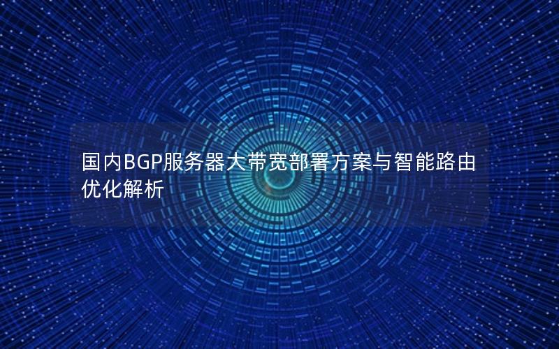 国内BGP服务器大带宽部署方案与智能路由优化解析