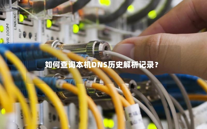 如何查询本机DNS历史解析记录？