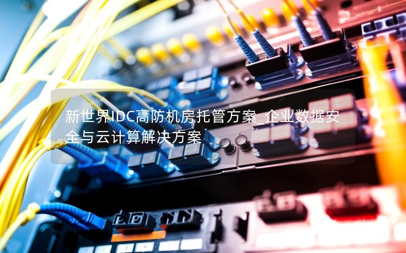 新世界IDC高防机房托管方案_企业数据安全与云计算解决方案