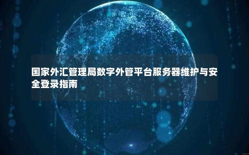 国家外汇管理局数字外管平台服务器维护与安全登录指南