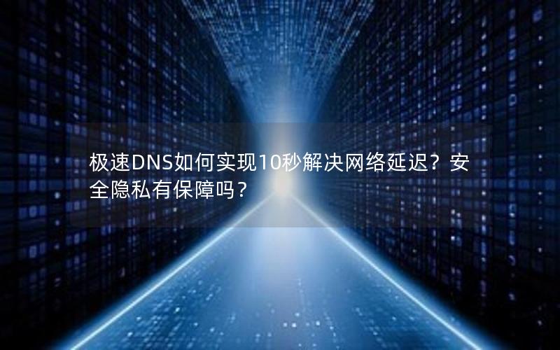 极速DNS如何实现10秒解决网络延迟？安全隐私有保障吗？