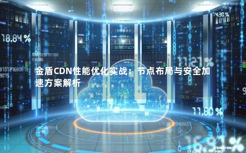 金盾CDN性能优化实战：节点布局与安全加速方案解析