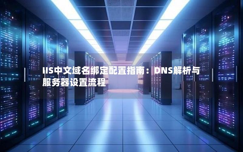 IIS中文域名绑定配置指南：DNS解析与服务器设置流程