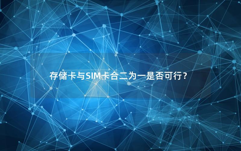 存储卡与SIM卡合二为一是否可行？