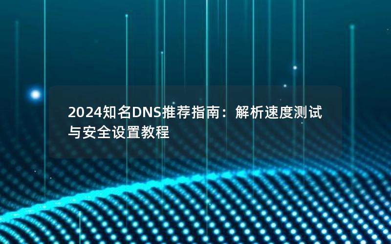 2024知名DNS推荐指南：解析速度测试与安全设置教程