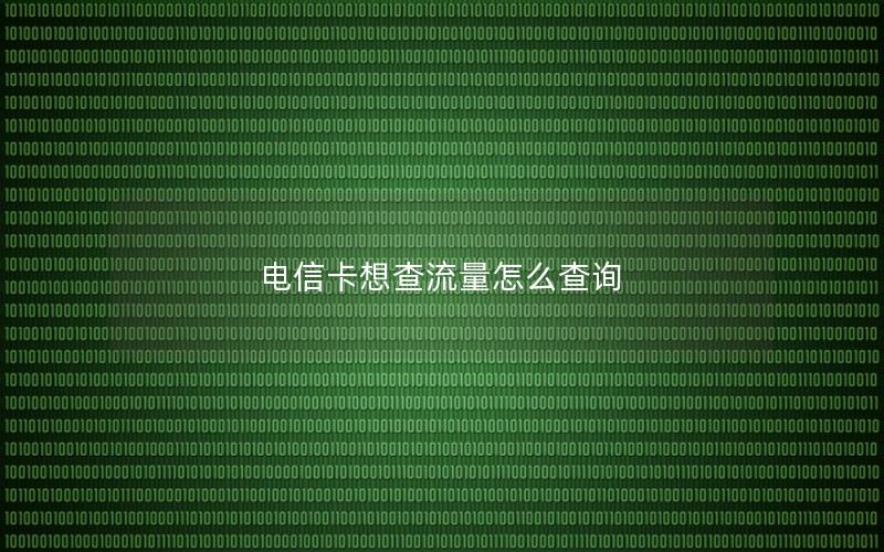 电信卡想查流量怎么查询