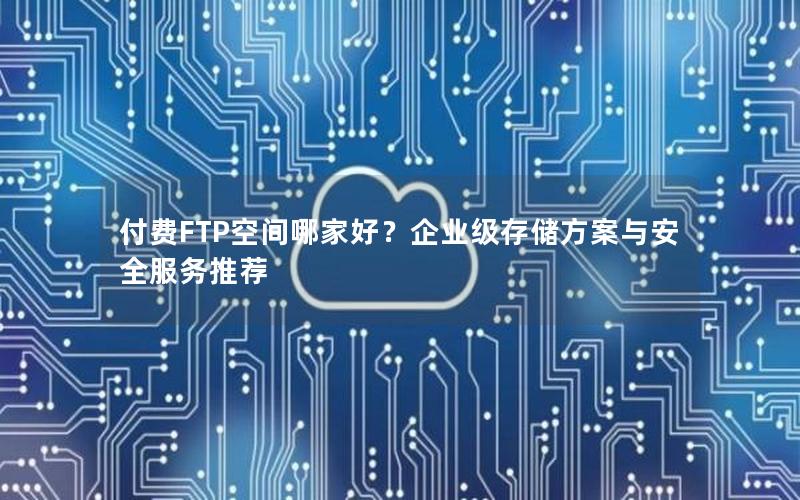 付费FTP空间哪家好？企业级存储方案与安全服务推荐