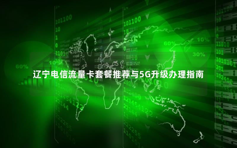 辽宁电信流量卡套餐推荐与5G升级办理指南