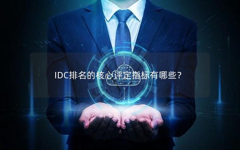 IDC排名的核心评定指标有哪些？