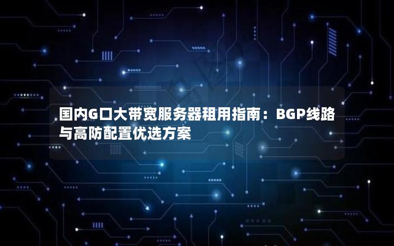 国内G口大带宽服务器租用指南：BGP线路与高防配置优选方案