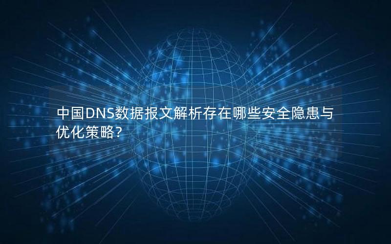 中国DNS数据报文解析存在哪些安全隐患与优化策略？