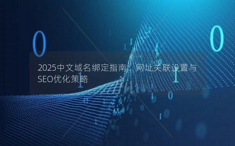 2025中文域名绑定指南：网址关联设置与SEO优化策略